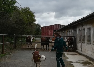 wpuck0gfxs_18-09-2019-praxe-2-ch-manipulace-se-zviraty_1