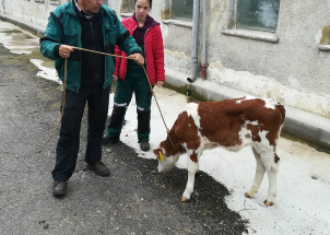 wpuck0gfxs_18-09-2019-praxe-2-ch-manipulace-se-zviraty_1