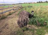 26-09-2019-4-ch-na-statku-u-merlina_17.jpg