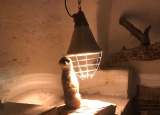 26-09-2019-4-ch-na-statku-u-merlina_4.jpg
