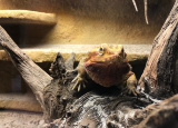 26-09-2019-4-ch-na-statku-u-merlina_7.jpg