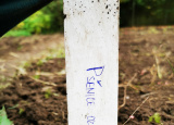 27-09-2019-praxe-3-a-pokusna-policka_9.jpg