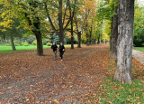 11-10-2019-pres-bariery-s-policii_14.jpg