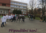 5-01-2020-vanocni-mezitridni-soutez-1-cast_6.jpg