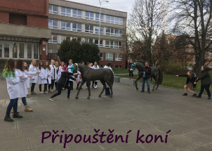 oyaigv5wmo_5-01-2020-vanocni-mezitridni-soutez-1-cast_1