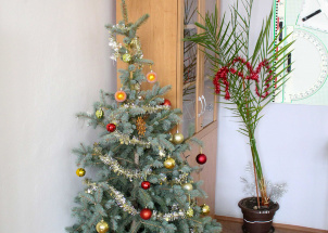 q4xo0asjcd_19-12-2019-vanocni-mezitridni-soutez-2-cast_1