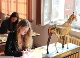 IMG_7780.JPG