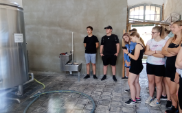 e35rezpyv6_____1