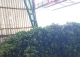 20220902_090205.jpg