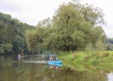 IMG_8353.JPG