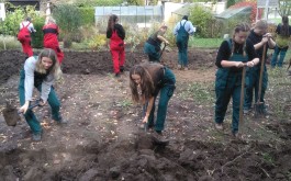 8kzoyikfxb_____20221018_072903000_iOS