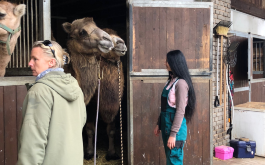 xpd5q7blu6_____MicrosoftTeams-image (12)