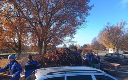 ul2jwp9x4f_____20221110_182319000_iOS 1