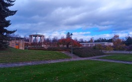 ul2jwp9x4f_____20221110_182319000_iOS 1