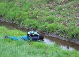 IMG_8595.JPG