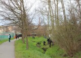IMG_8610.JPG
