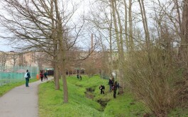 we26mcoull_____IMG_8633