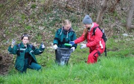 we26mcoull_____IMG_8633