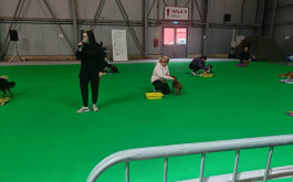 ryampy3bz8_____MicrosoftTeams-image (25)