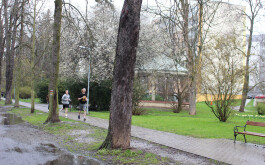 quktci002y_____IMG_8709