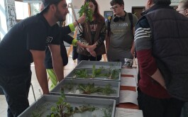 vddknr3osd_____20230515_110450000_iOS 1