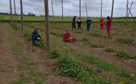 xictabb27m_____20230519_180518000_iOS