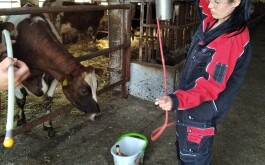 5erfhby45a_____IMG_9338