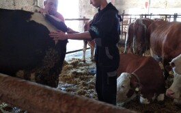 5erfhby45a_____IMG_9338