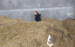 5erfhby45a_____IMG_9338