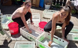 6z7hxxd1jd_____20230601_073719000_iOS