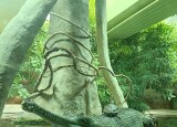 IMG-20230629-WA0006.jpg