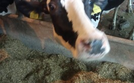 2mjdsdhksk_____IMG-20230927-WA0026