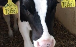 2mjdsdhksk_____IMG-20230927-WA0026