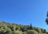 IMG-20231010-WA0012.jpg