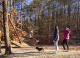 IMG-20240108-WA0004.jpg
