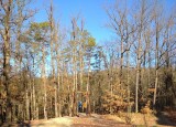 IMG-20240108-WA0003.jpg