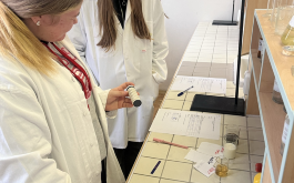 i9fs7f74sj_____MicrosoftTeams-image (9)