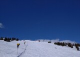 IMG_20240319_144500_1.jpg