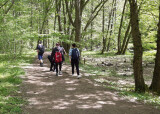 IMG_20240509_084139.jpg