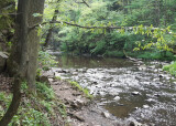 IMG_20240509_084321.jpg