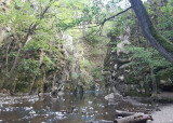 IMG_20240509_084252.jpg