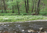 IMG_20240509_084335.jpg