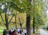 IMG_2692.JPG