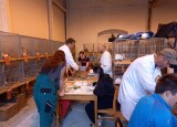 IMG-20250911-WA0001.jpg