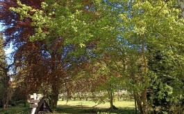 632jw2vpxg_____IMG_20230607_174957