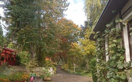 632jw2vpxg_____IMG_20230607_174957