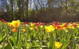 632jw2vpxg_____IMG_20230607_174957