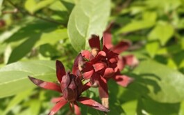 632jw2vpxg_____IMG_20230607_174957