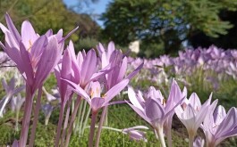 632jw2vpxg_____IMG_20230607_174957