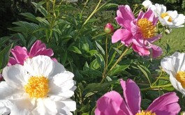 632jw2vpxg_____IMG_20230607_174957